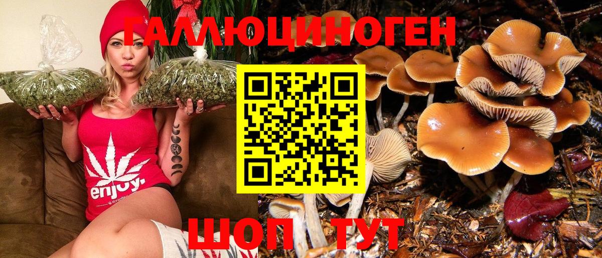 Псилоцибиновые грибы MAGIC MUSHROOMS Урай